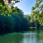 How to Achieve Mental Clarity and Focus with These Tips
