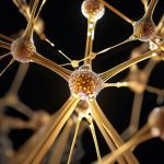 Debugging the Self: Algorithmic Correction